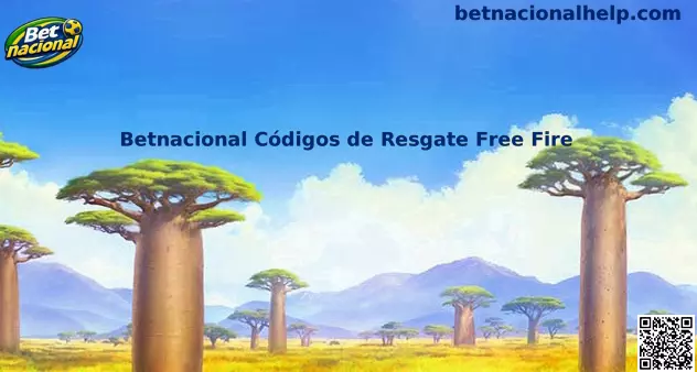 Betnacional códigos promocionais